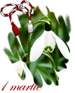 Martisor pentru Ioana